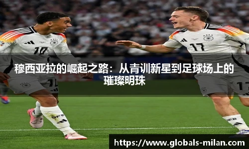 米兰体育官网
